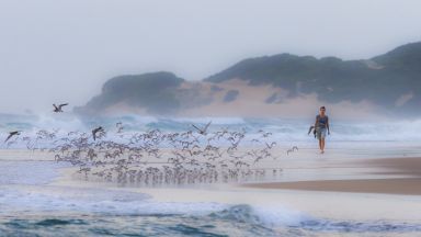 Machangulo Beach Lodge